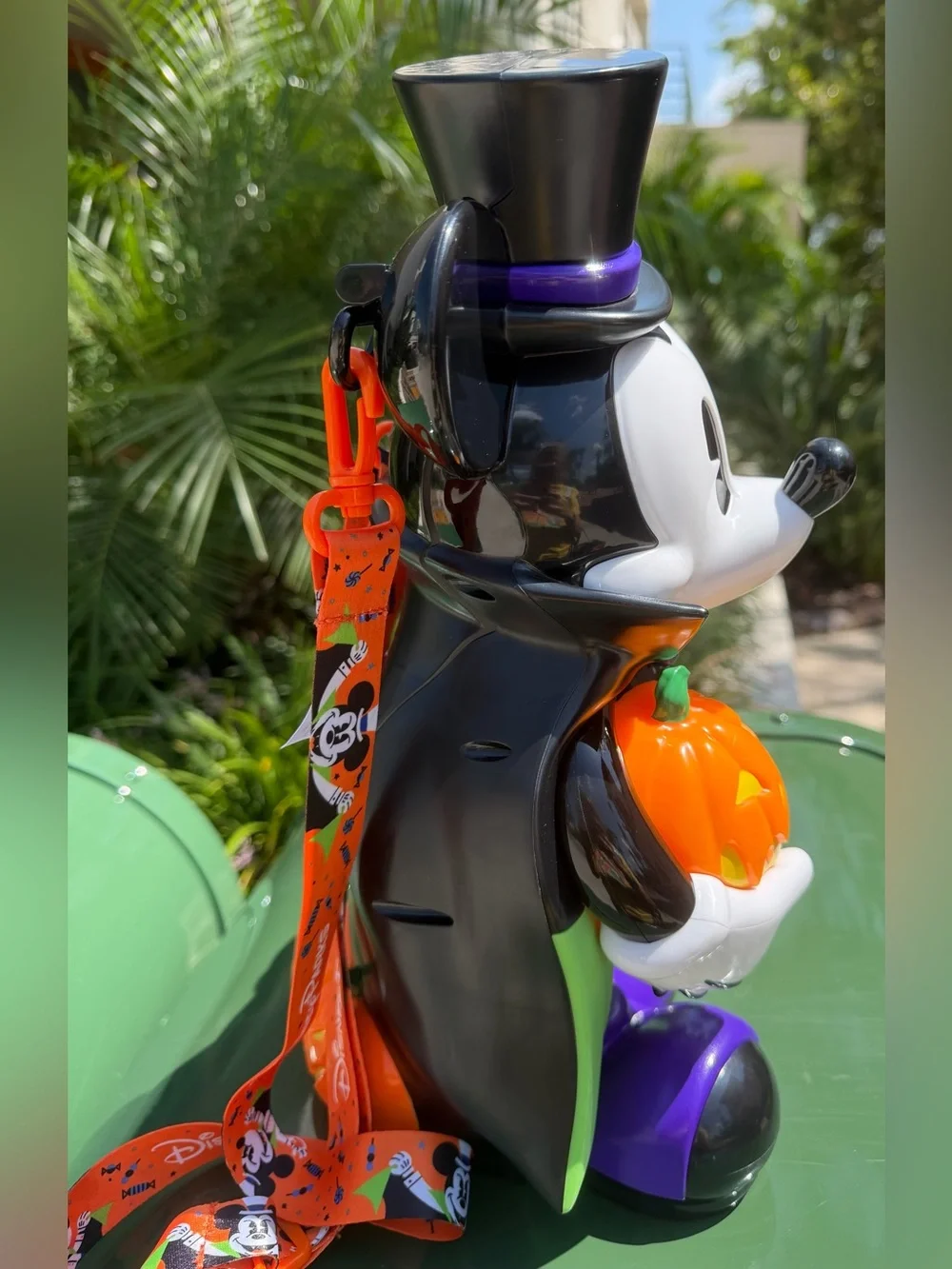 Disney parks 2026